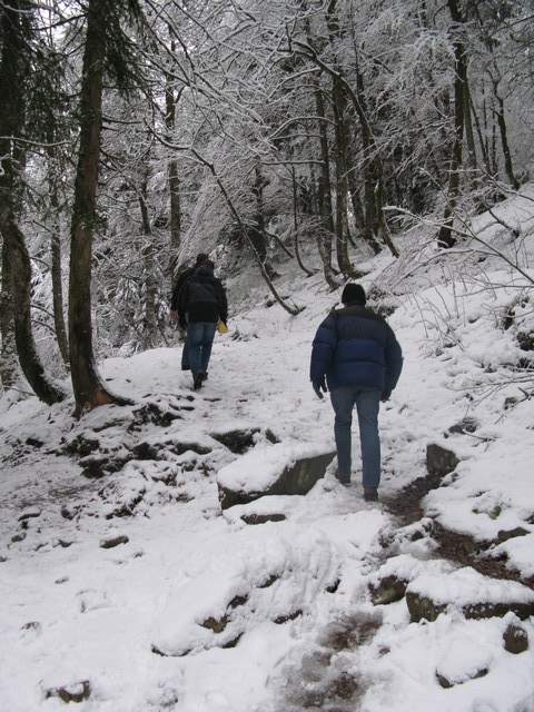 Image 10 of 456  -  247 kB