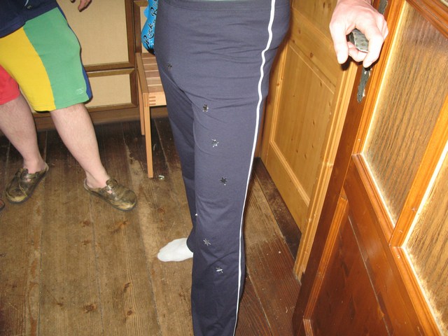 Image 77 of 456  -  78 kB