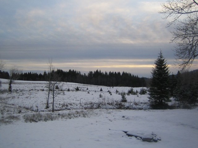 Image 142 of 456  -  64 kB