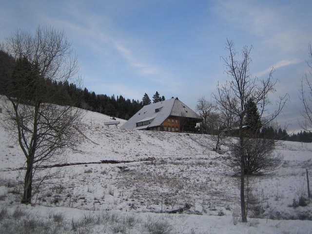 Image 146 of 456  -  91 kB