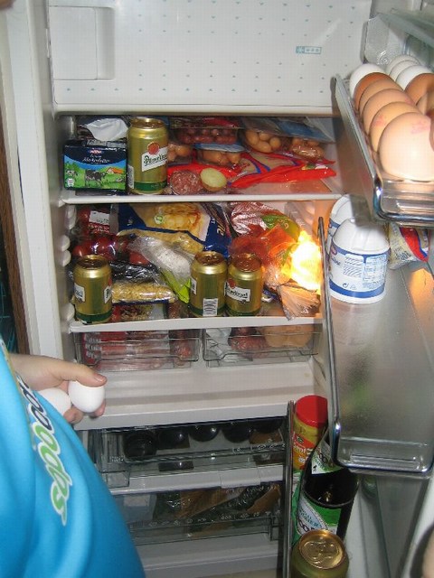 Image 152 of 456  -  83 kB