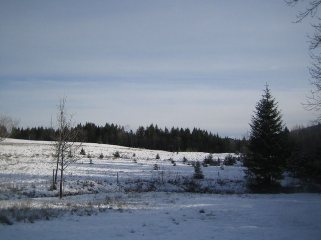 Image 160 of 456  -  58 kB