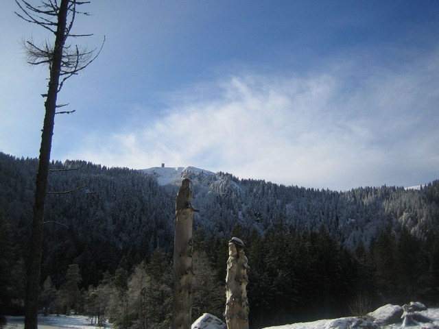 Image 167 of 456  -  59 kB