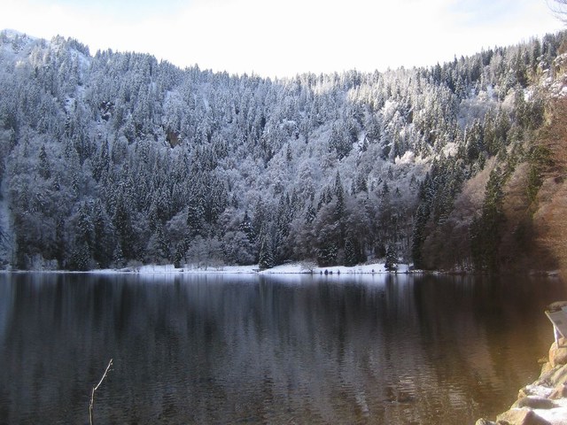 Image 173 of 456  -  94 kB