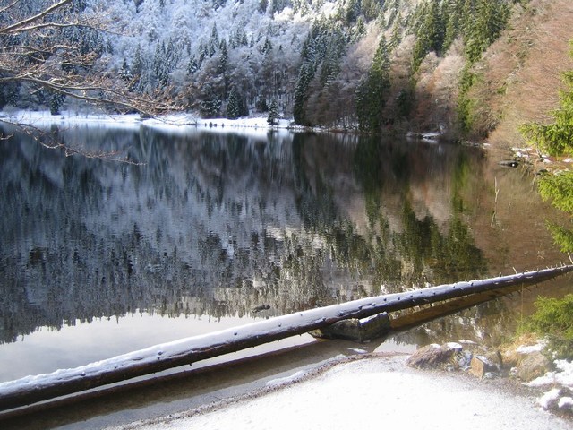 Image 176 of 456  -  110 kB