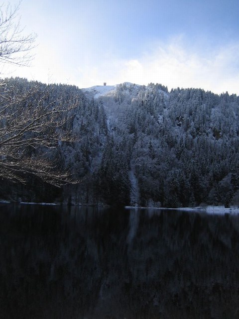 Image 177 of 456  -  69 kB