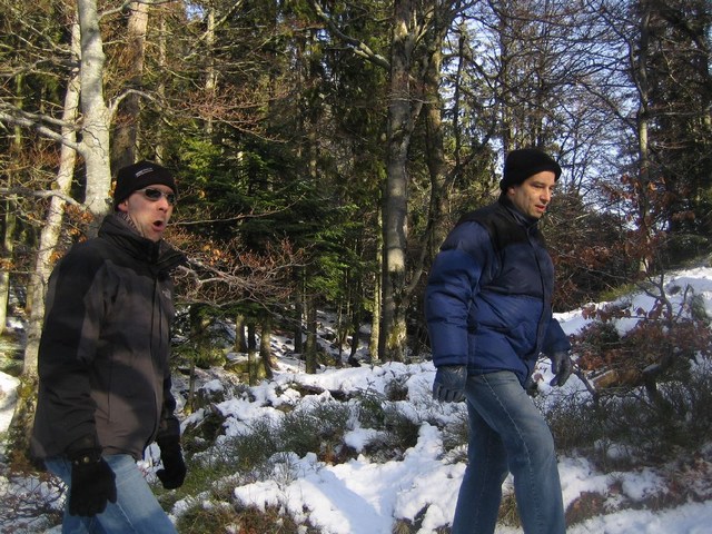 Image 179 of 456  -  131 kB