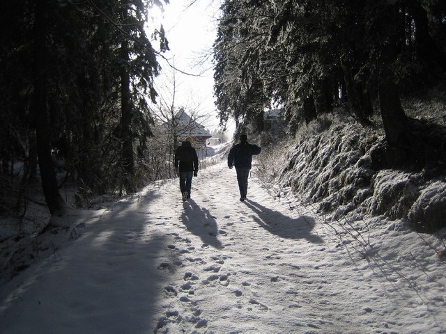 Image 182 of 456  -  108 kB