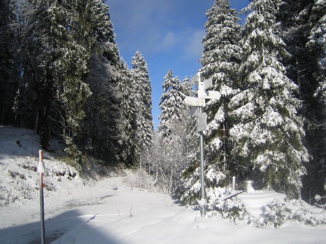 Image 184 of 456  -  121 kB