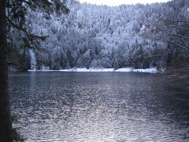 Image 209 of 456  -  125 kB