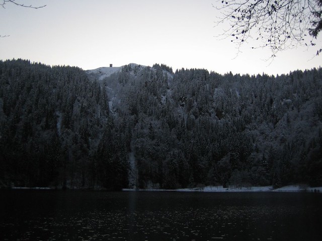 Image 210 of 456  -  67 kB