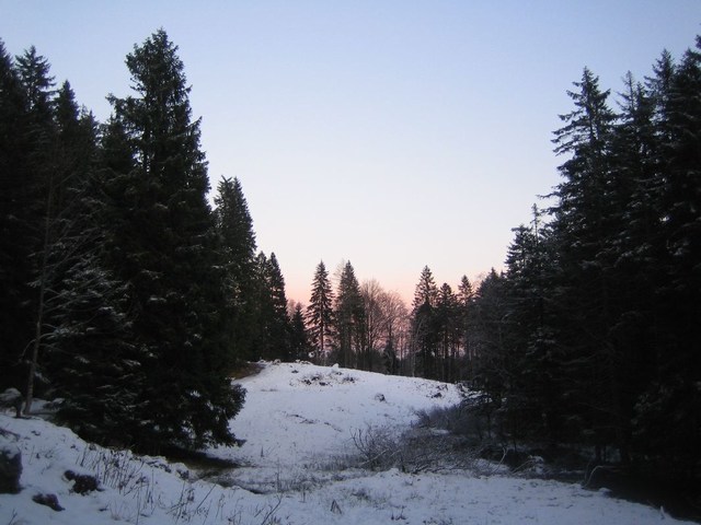 Image 211 of 456  -  66 kB