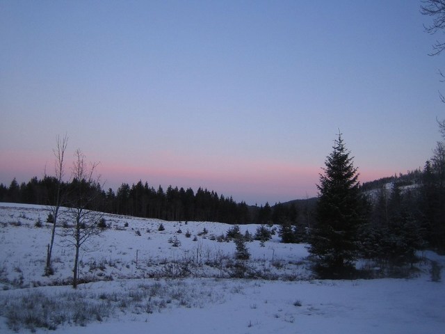 Image 214 of 456  -  51 kB