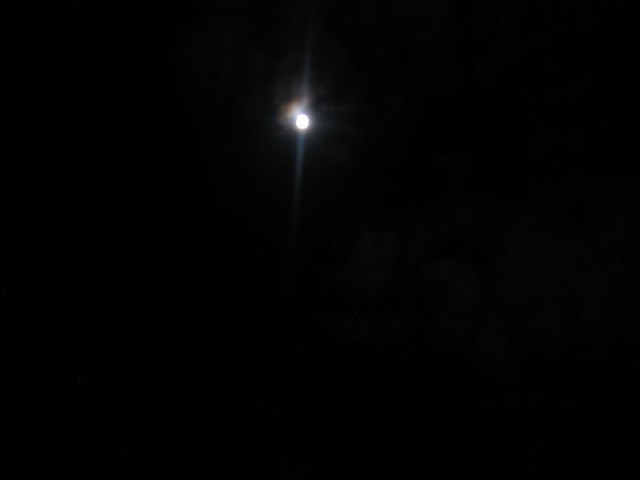 Image 286 of 456  -  9 kB