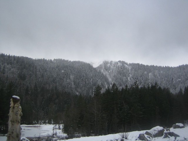 Image 319 of 456  -  52 kB