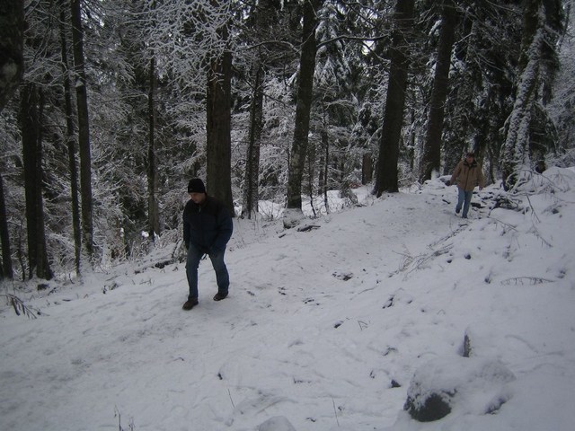 Image 324 of 456  -  96 kB