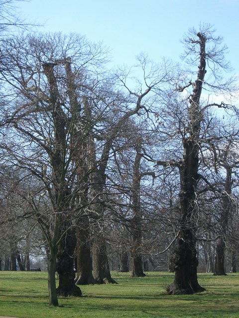 Image 59 of 85  -  133 kB